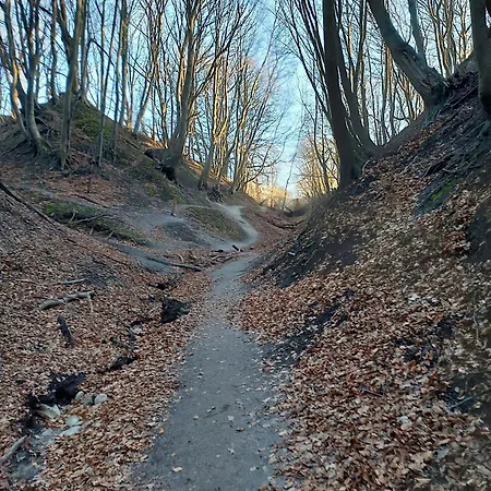 Prázdninový dům Lantern Hill *